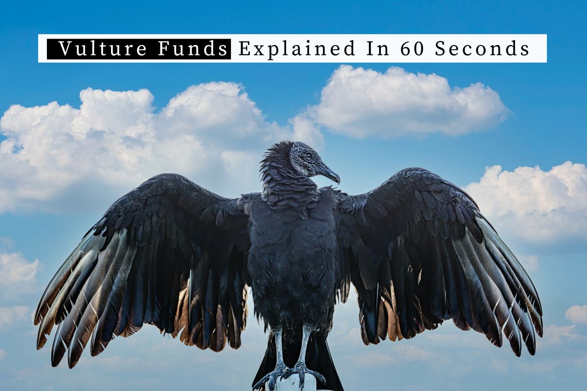 Vulture Funds Explained In 60 Seconds