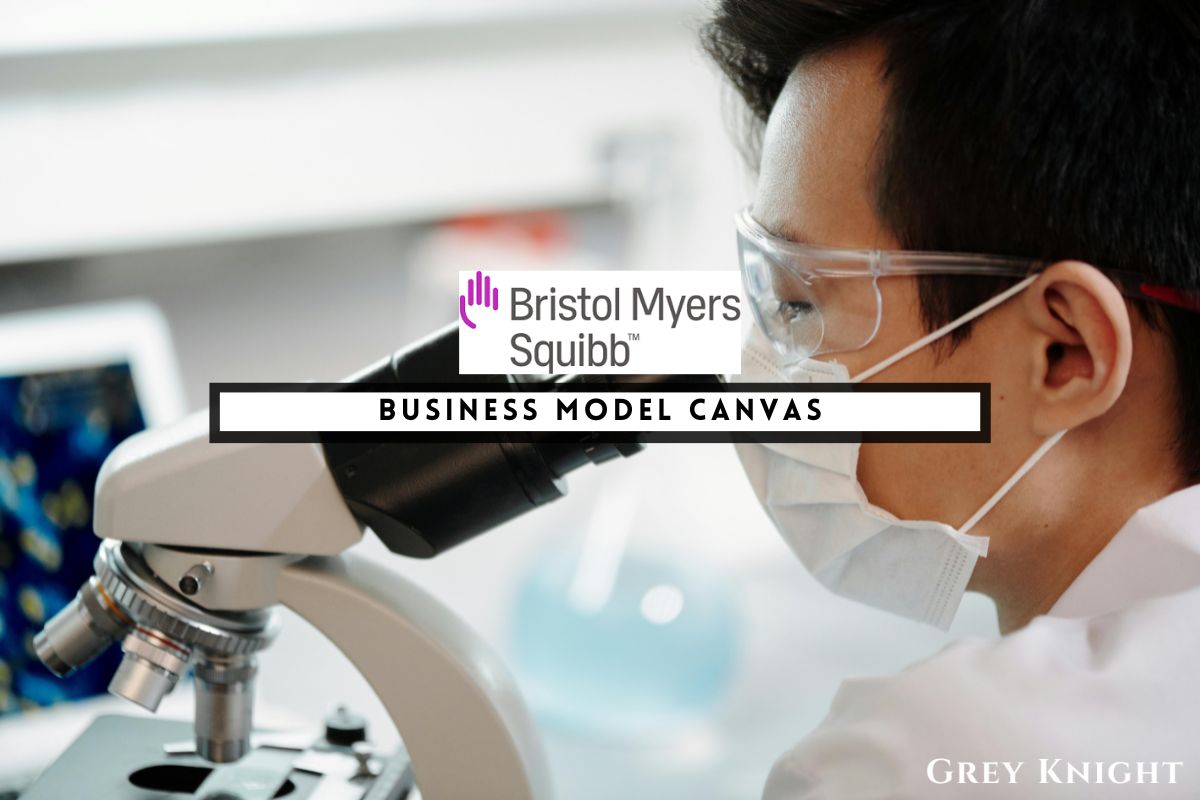 BMS Business Model Canvas